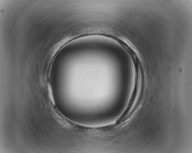X0000086061089200703231235