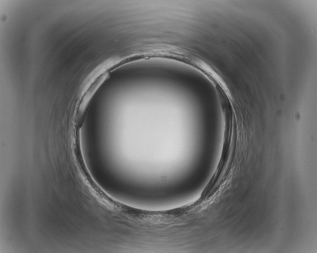 X0000086061093200703231235