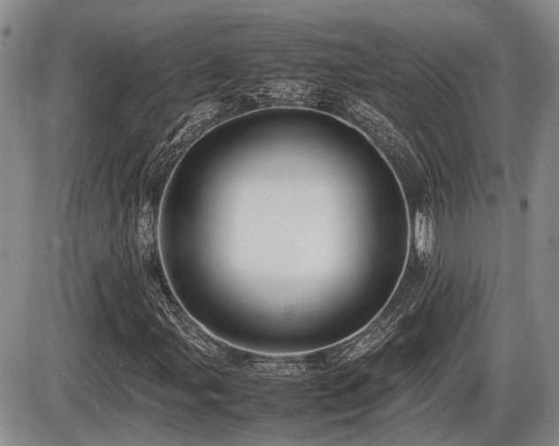 X0000086061107200703231234