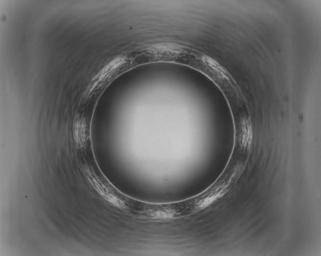 X0000086061108200703231234