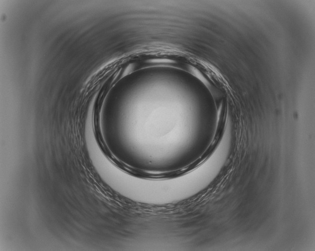X0000086061112200703231234