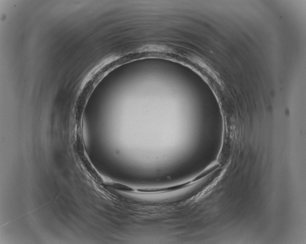 X0000086061117200703231234