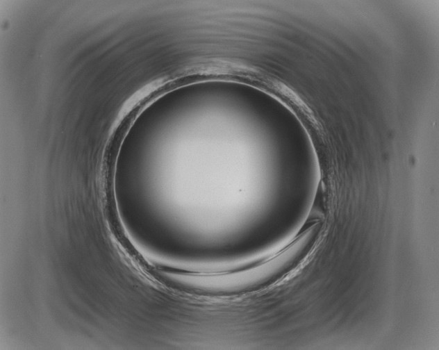 X0000086061122200703231234