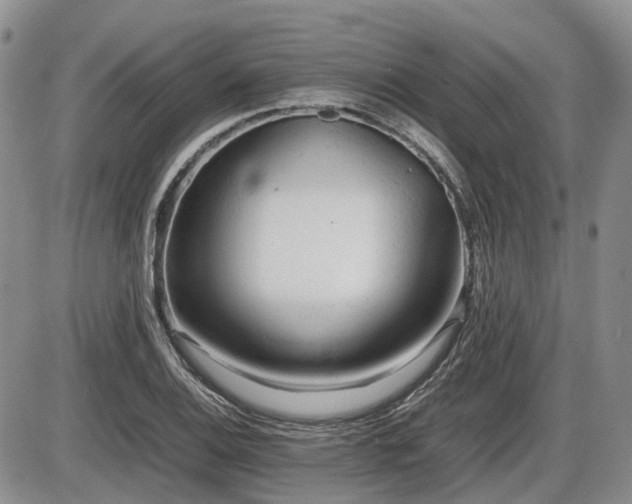 X0000086061124200703231235
