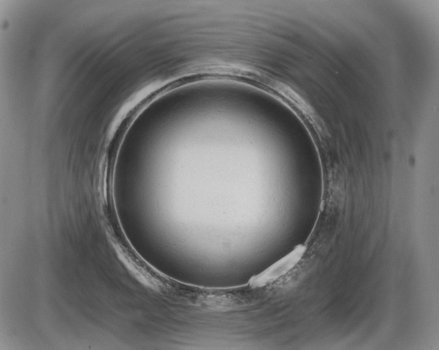 X0000086061128200703231235