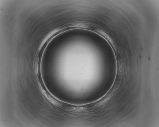 X0000086061131200703231235