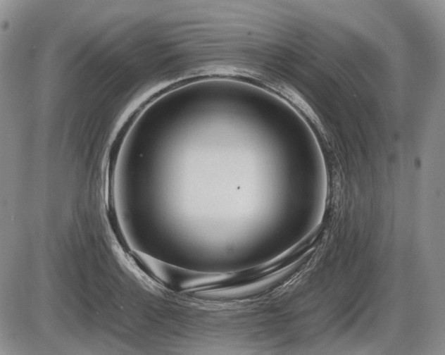 X0000086061132200703231235