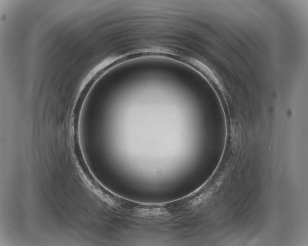 X0000086061133200703231235