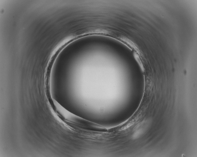 X0000086061135200703231235