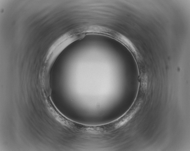 X0000086061138200703231235