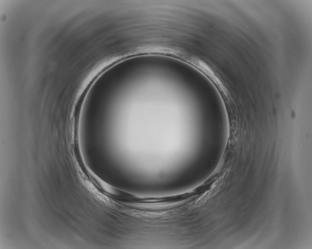 X0000086061140200703231235