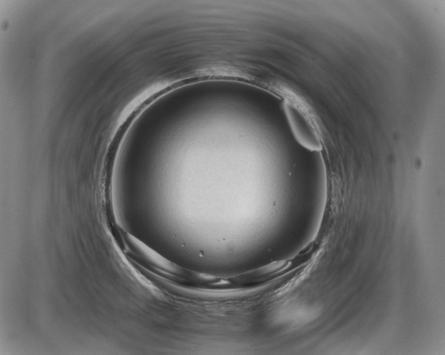 X0000086061141200703231235