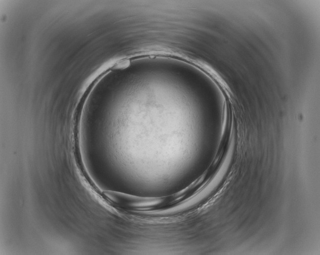 X0000086061142200703231235