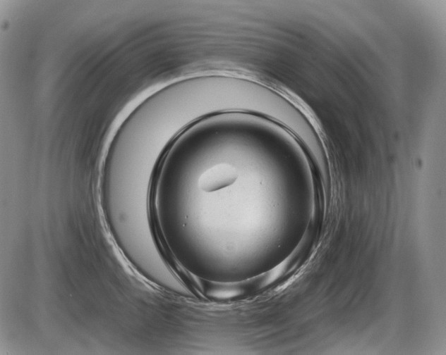 X0000086061144200703231235