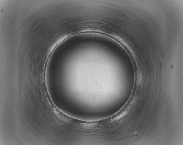 X0000086061145200703231235