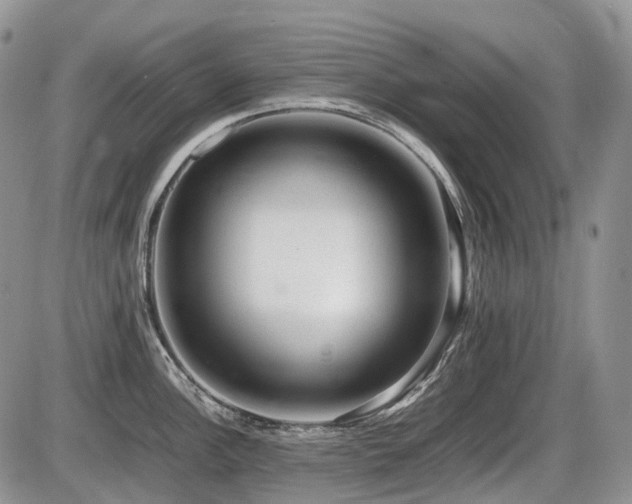 X0000086061148200703231235