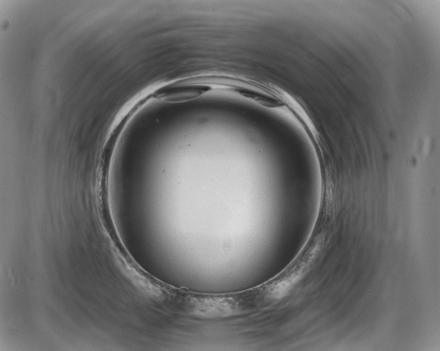 X0000086061149200703231235