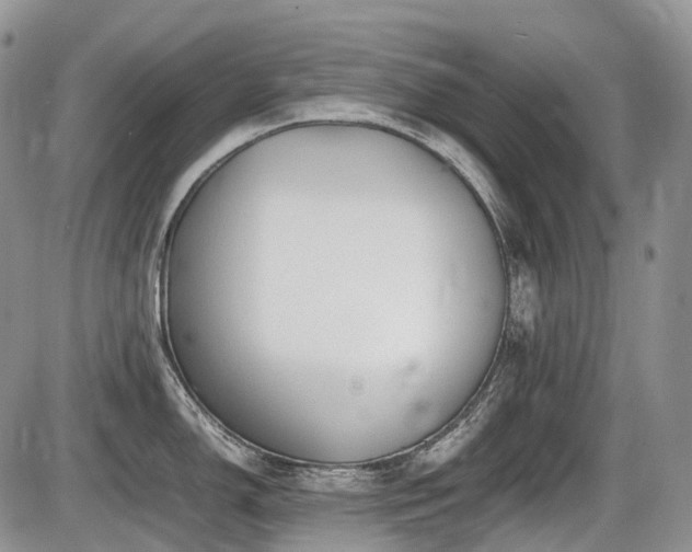X0000086061150200703231235