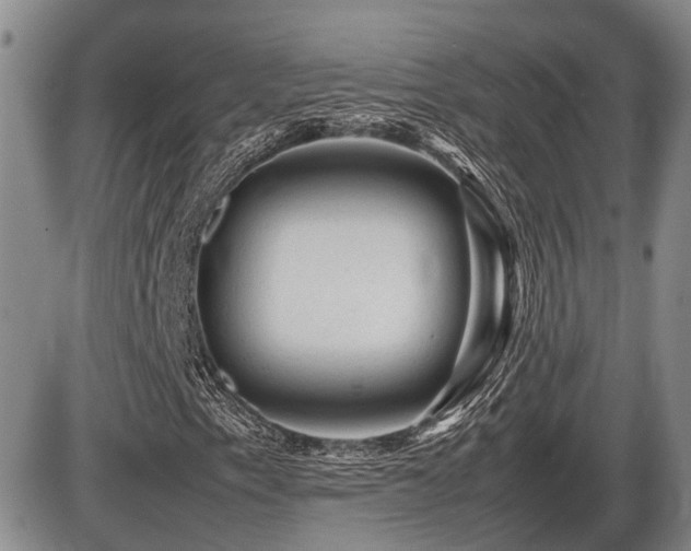X0000086061153200703231234