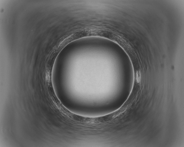 X0000086061155200703231234