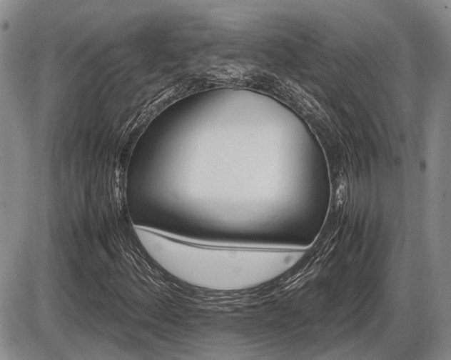 X0000086061156200703231234