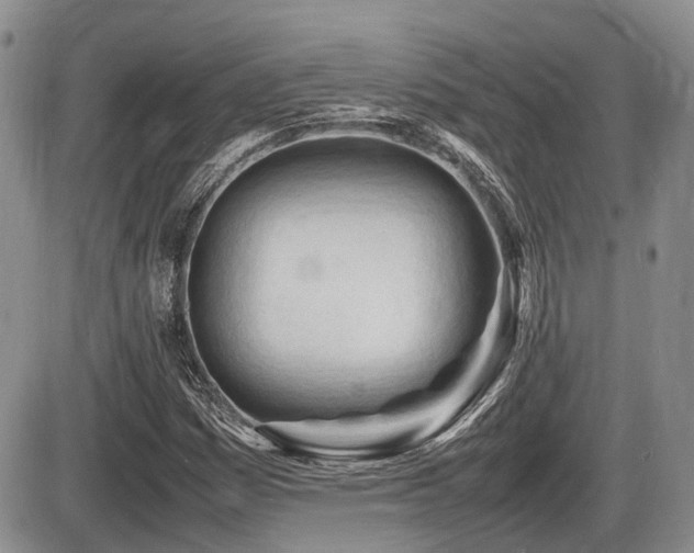 X0000086061161200703231234
