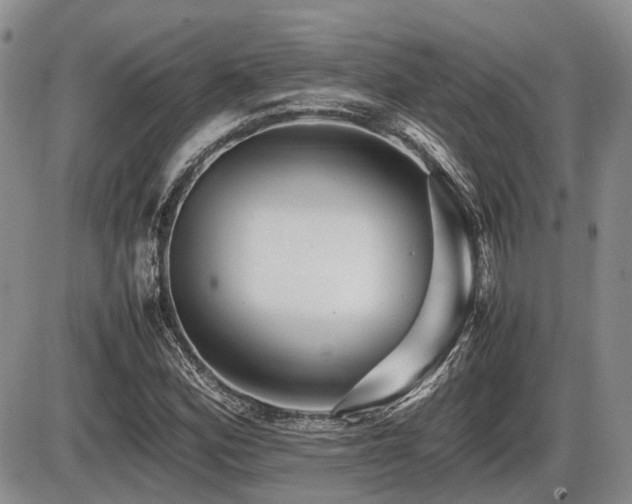 X0000086061164200703231234