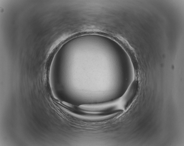 X0000086061167200703231234