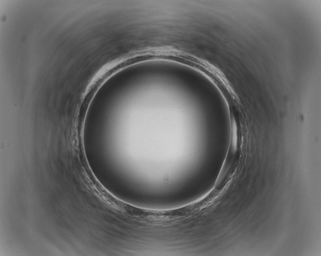 X0000086061176200703231234