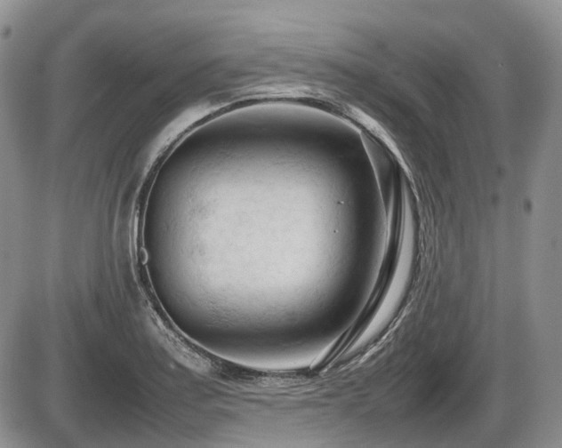 X0000086061179200703231234