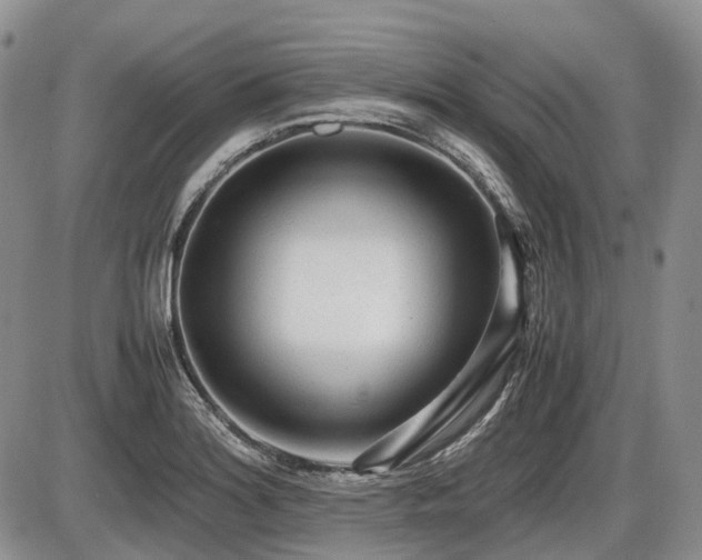 X0000086061180200703231234