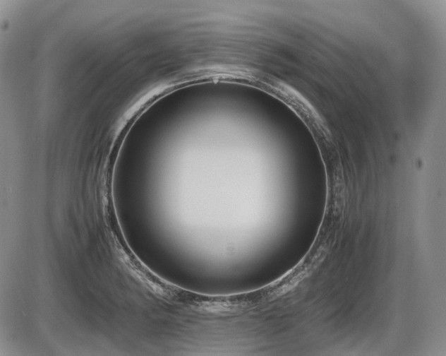 X0000086061182200703231234
