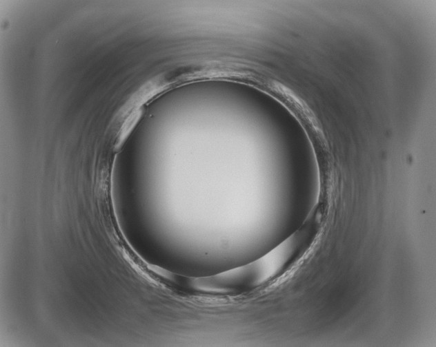 X0000086061185200703231234