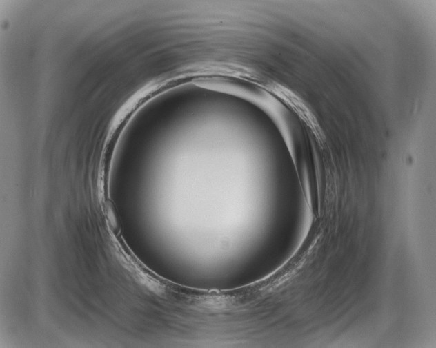 X0000086061188200703231234