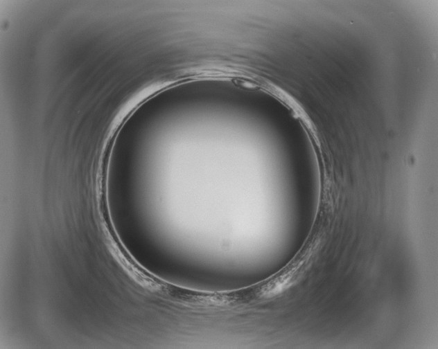 X0000086061195200703231233