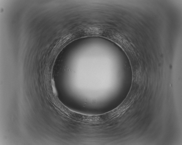 X0000086061201200703231233