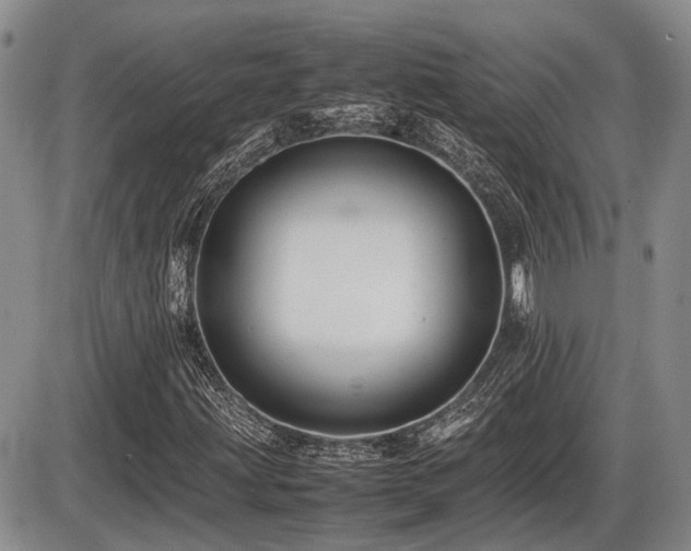 X0000086061203200703231233