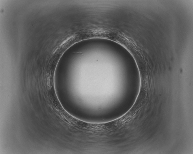 X0000086061205200703231233
