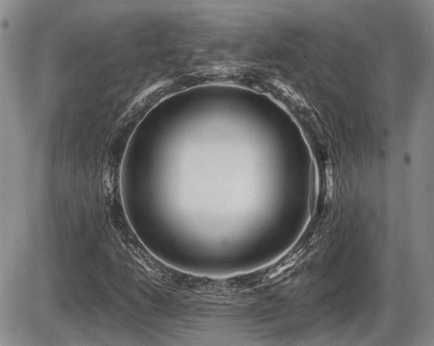 X0000086061206200703231233