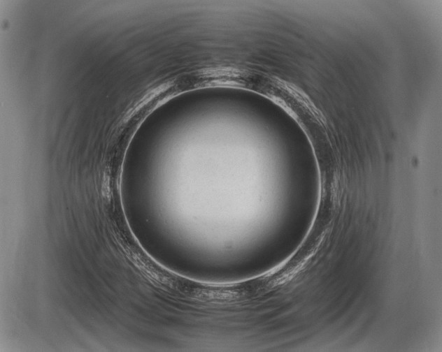 X0000086061209200703231233
