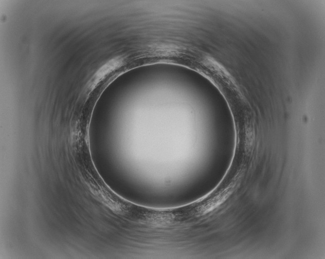 X0000086061210200703231233