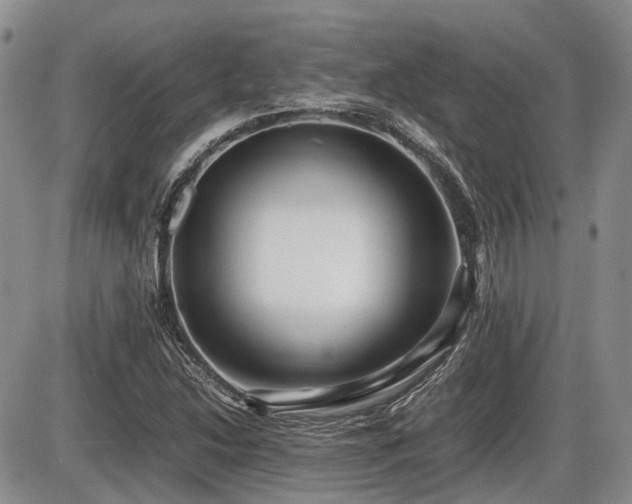X0000086061214200703231233