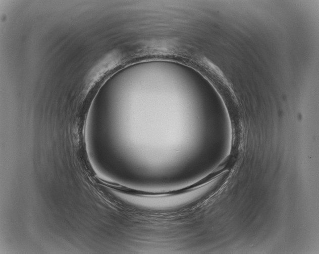 X0000086061218200703231233