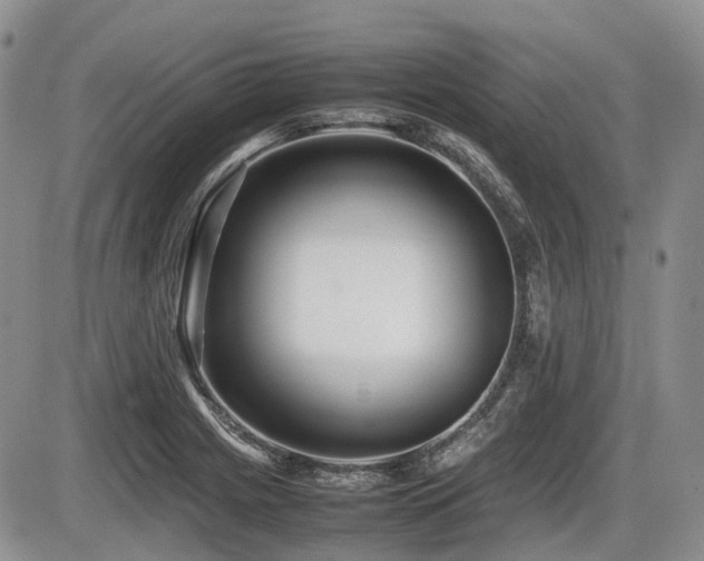 X0000086061225200703231233