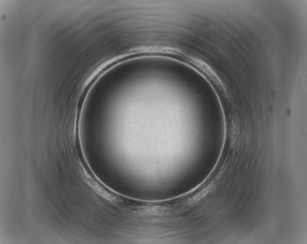 X0000086061228200703231233