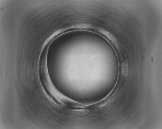 X0000086061229200703231233