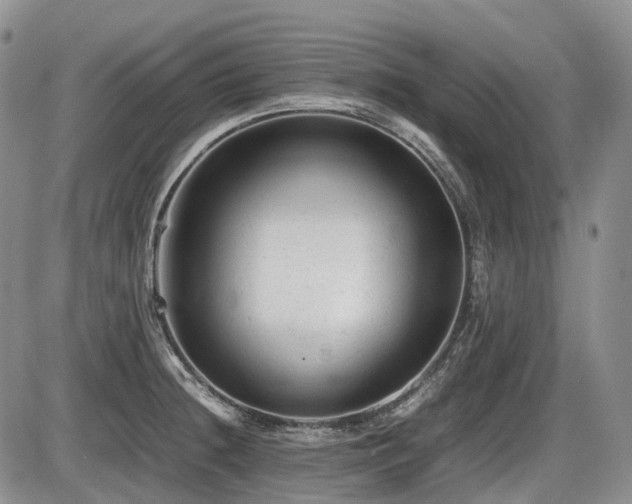 X0000086061236200703231233