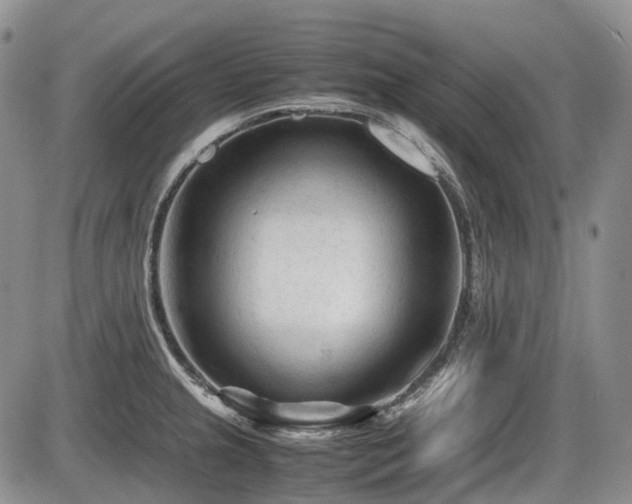 X0000086061237200703231233