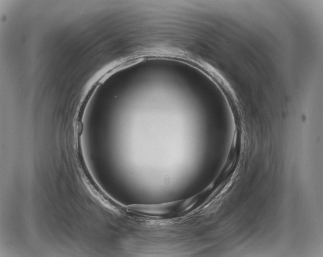 X0000086061238200703231233