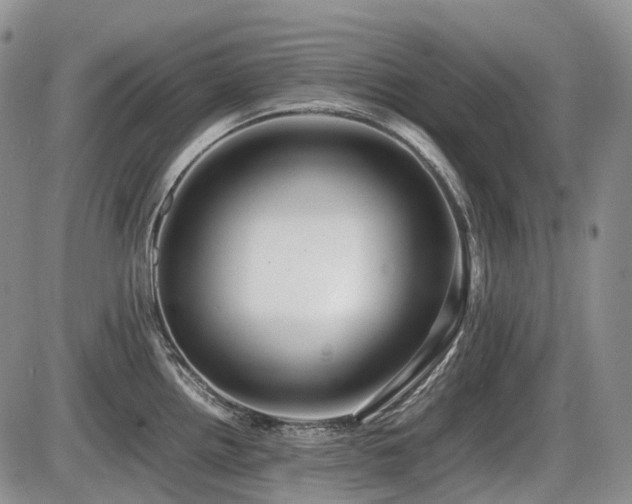 X0000086061242200703231233